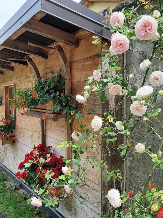 Appartamento Per Vacanze "Il Gelso" Rovereto  Bagian luar foto