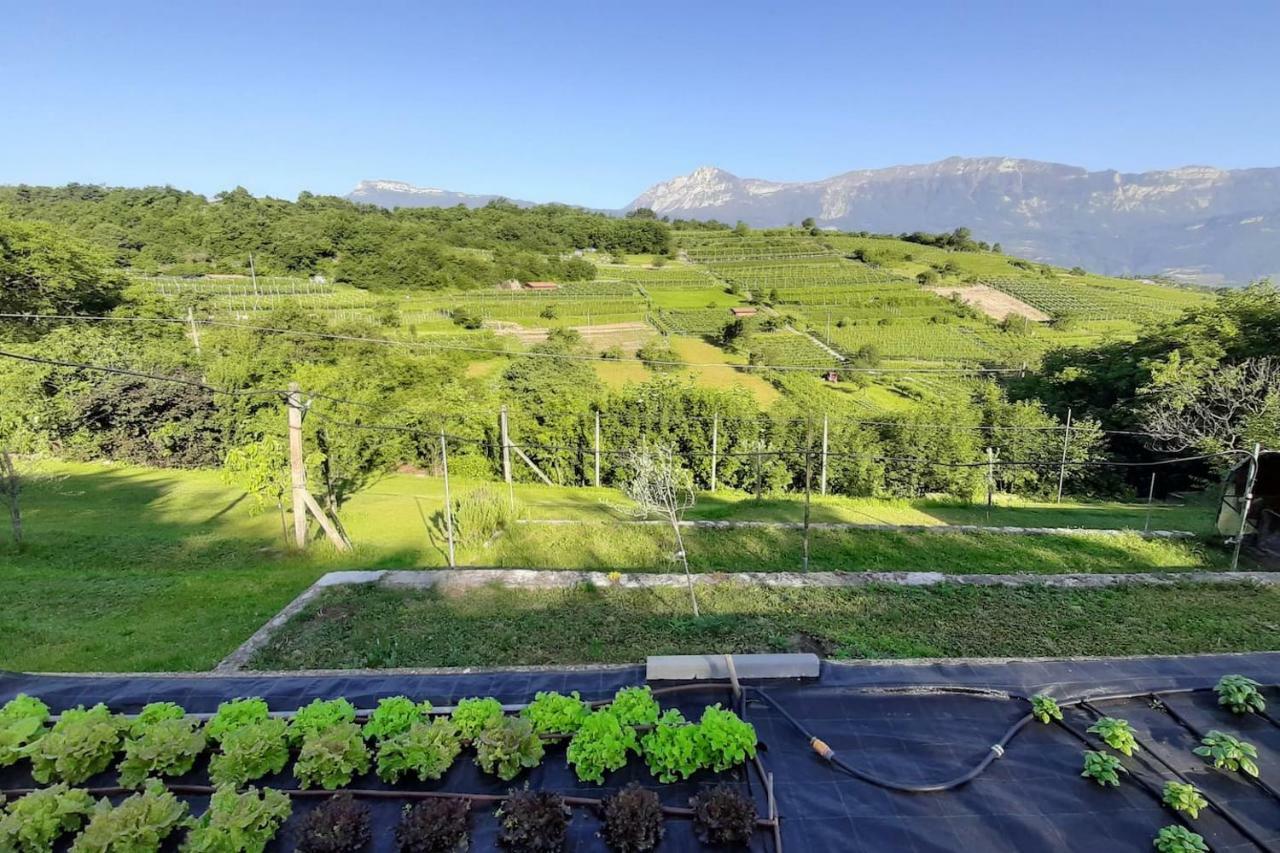 Appartamento Per Vacanze "Il Gelso" Rovereto  Bagian luar foto